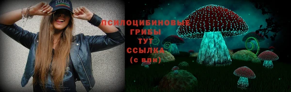 спиды Дмитриев
