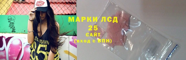спиды Дмитриев